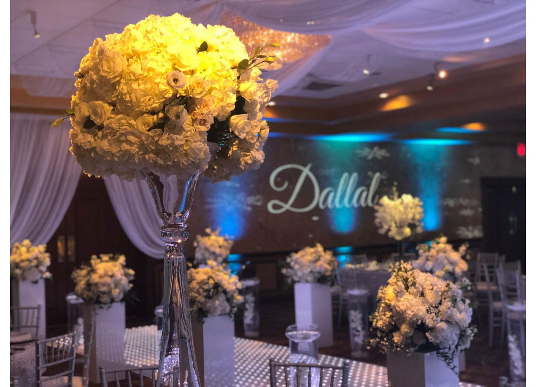decor-up-lighting-lime-lights-entertainment-l-06